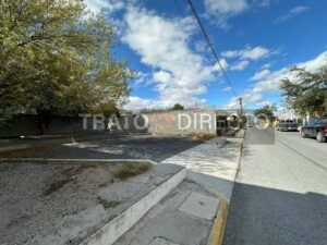 624700429 122160498422803294 2245644597058000419 n